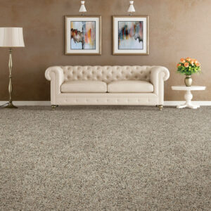 Soft carpet in home | Vallow Floor Coverings | Edwardsville, IL