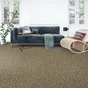 Carpet in home | Vallow Floor Coverings | Edwardsville, IL
