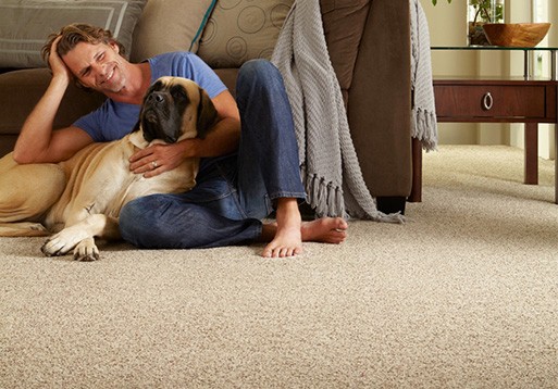 Carpet in home | Vallow Floor Coverings | Edwardsville, IL