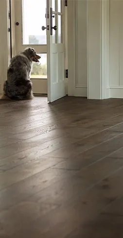 Midnight-Snack-HDE81-00102-family-room-model-100-11 Midnight-Snack-HDE81-00102-family-room-model-100-11