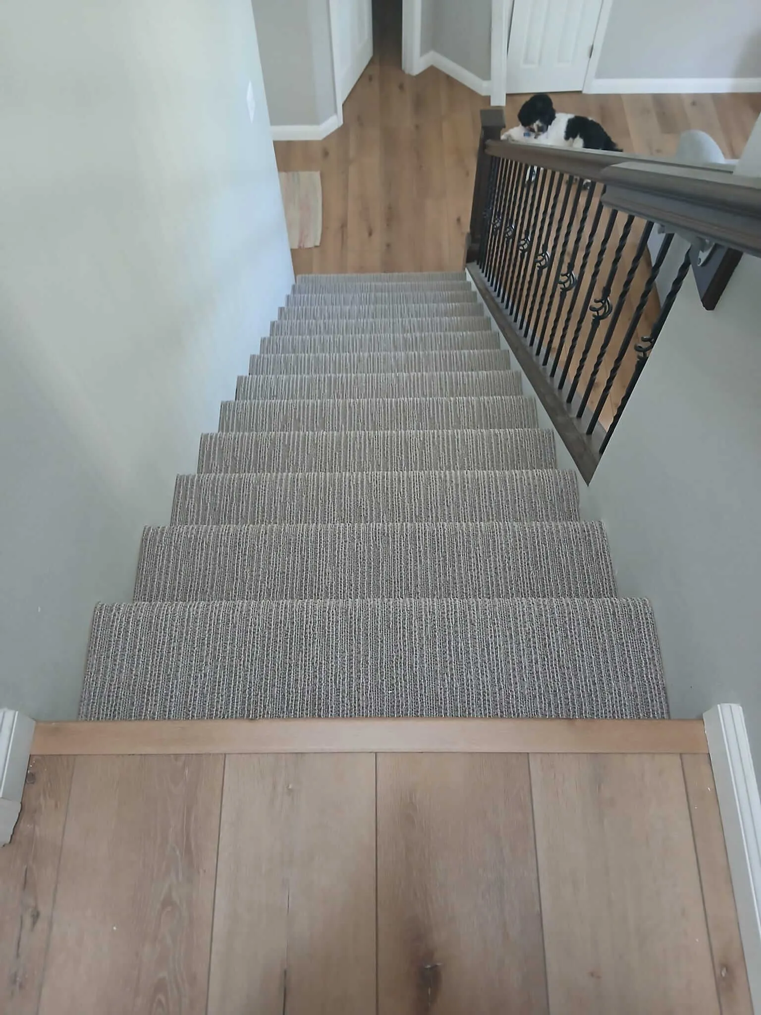 Barker-86042-Tuftex-Chase-in-Stampede-on-Steps-2024-Image-2