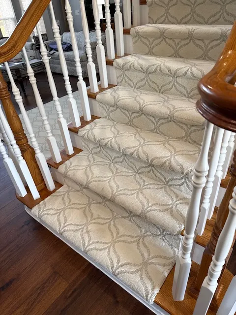 Mesenbrink 86576 Appreciation Shaw Carpet on Steps Picture 2